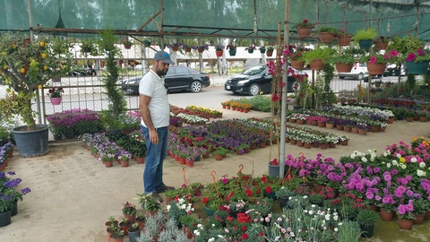 Bazı Uygulamalar 2