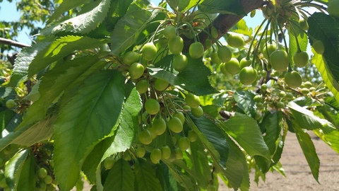 Bazı Uygulamalar 2